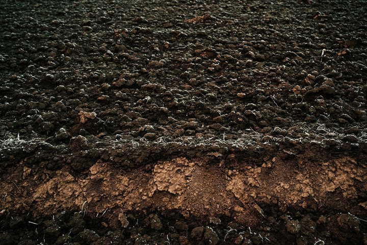 Nová záhrada  - kryoturbácia